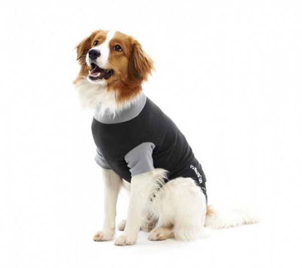 BUSTER Body Suit, Hund, black/grey, 46 cm, M
