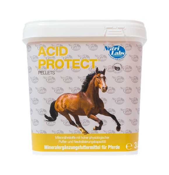 NutriLabs AcidProtect, 3600 g