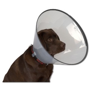 Halskragen Buster Comfort Collar, 25 cm