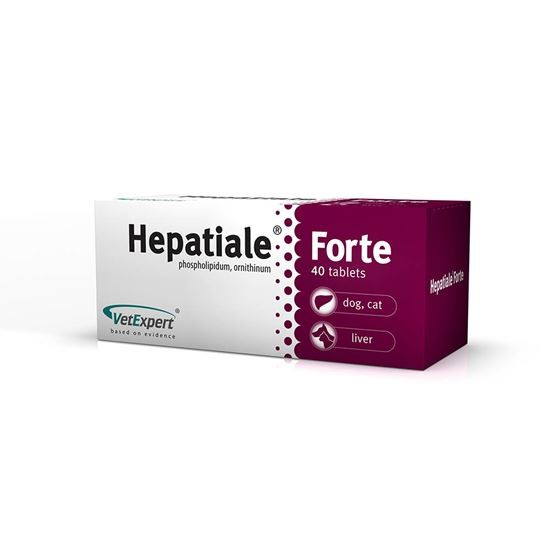 VetExpert Hepatiale Forte, 40 Tabletten