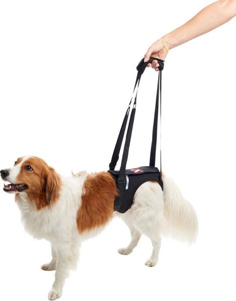 KRUUSE Rehab Tragehilfe für Hunde, Hinterbeine, XL