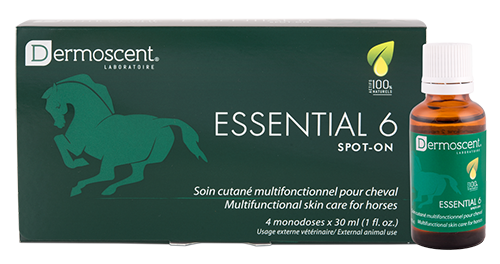 Essential 6® spot-on Pferd, 4 x 30 ml